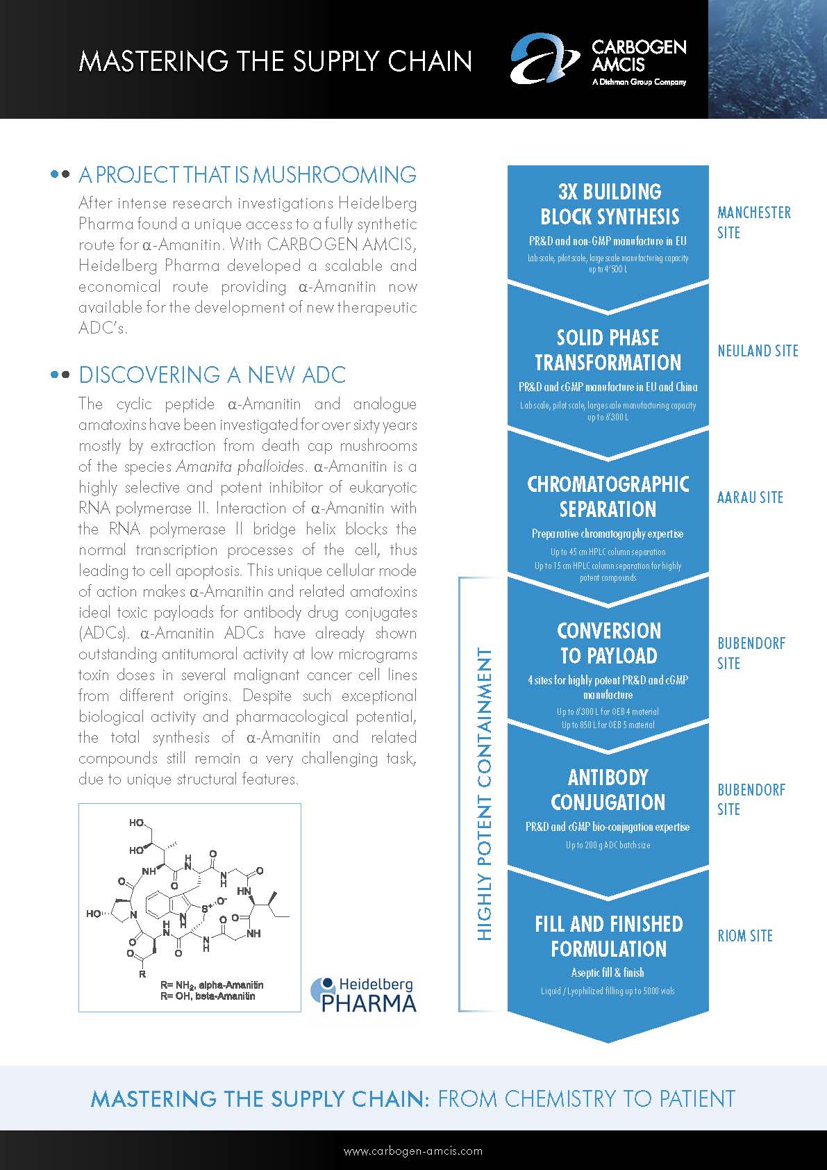 Mastering the Supply Chain