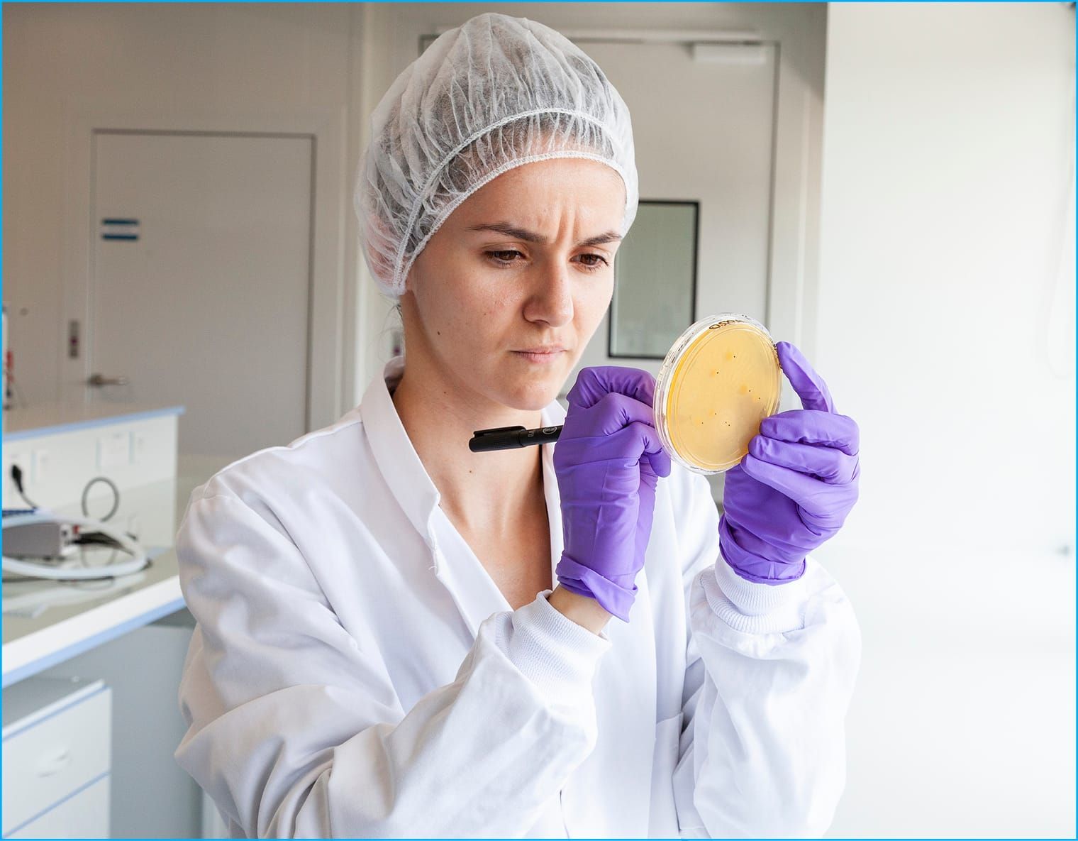 Labelling a Petri dish